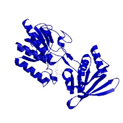 Image of CATH 1cl0