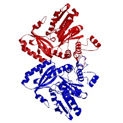 Image of CATH 1cl2