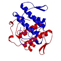 Image of CATH 1cl5