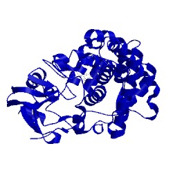 Image of CATH 1cl6