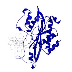 Image of CATH 1cl8