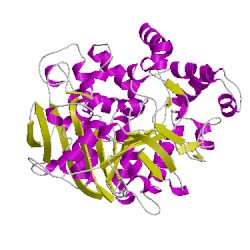 Image of CATH 1cleA