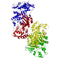 Image of CATH 1cli