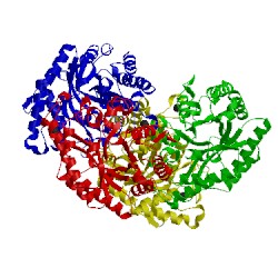 Image of CATH 1clx