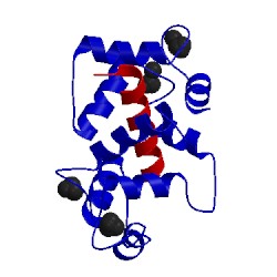 Image of CATH 1cm4