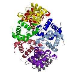 Image of CATH 1cno