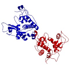 Image of CATH 1cns