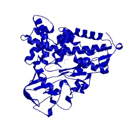 Image of CATH 1cp4