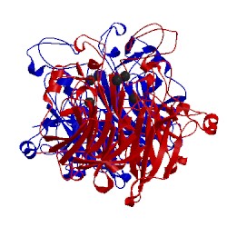 Image of CATH 1cq1