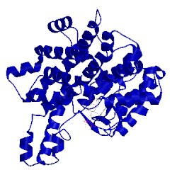 Image of CATH 1csh