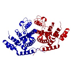 Image of CATH 1csm