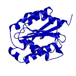 Image of CATH 1cub