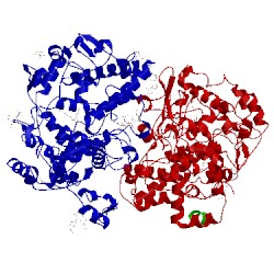 Image of CATH 1cvu