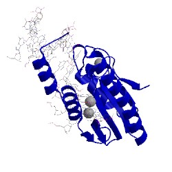 Image of CATH 1cw0