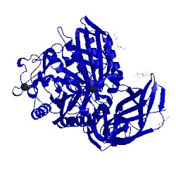 Image of CATH 1cxh