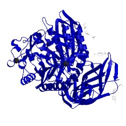 Image of CATH 1cxl