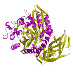 Image of CATH 1cxlA