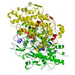 Image of CATH 1cxp