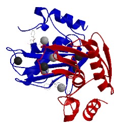 Image of CATH 1cxv