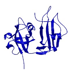 Image of CATH 1cz4