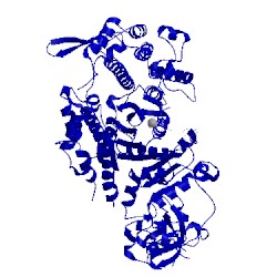 Image of CATH 1d1b