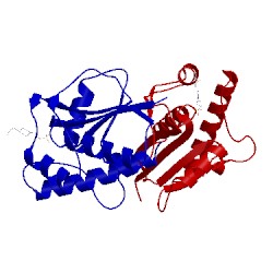 Image of CATH 1d1p