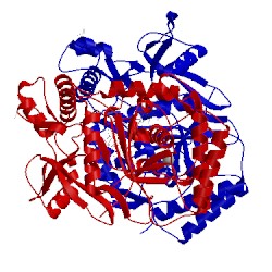 Image of CATH 1d1v