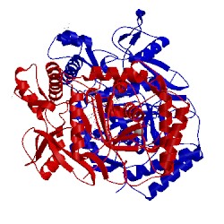 Image of CATH 1d1x