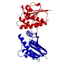 Image of CATH 1d2a