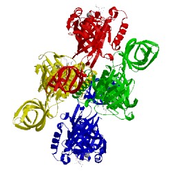 Image of CATH 1d2e