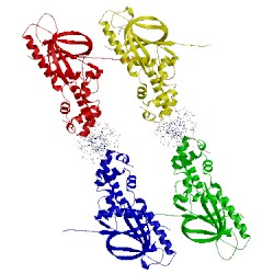 Image of CATH 1d5y