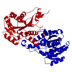 Image of CATH 1d8a