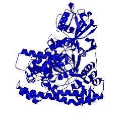 Image of CATH 1d8c