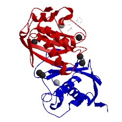 Image of CATH 1d8m