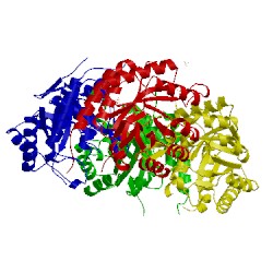 Image of CATH 1d9e