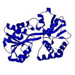 Image of CATH 1d9v