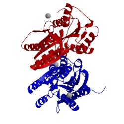 Image of CATH 1dbq