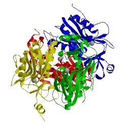 Image of CATH 1dbr