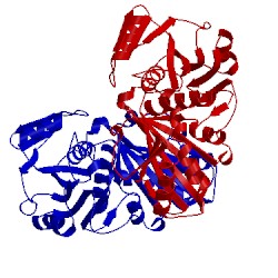 Image of CATH 1dc3