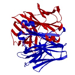 Image of CATH 1dcl