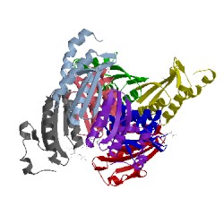 Image of CATH 1dcp