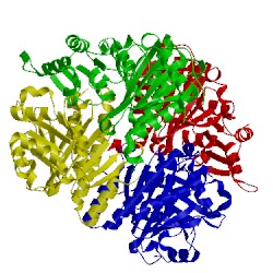 Image of CATH 1dcu