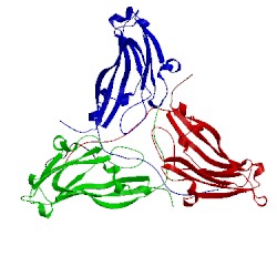 Image of CATH 1ddl