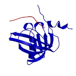 Image of CATH 1ddm