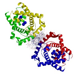 Image of CATH 1ddn