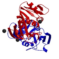 Image of CATH 1dds