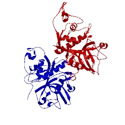 Image of CATH 1deu