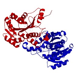 Image of CATH 1dfh