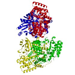 Image of CATH 1dfo