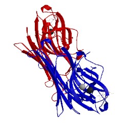 Image of CATH 1dgl